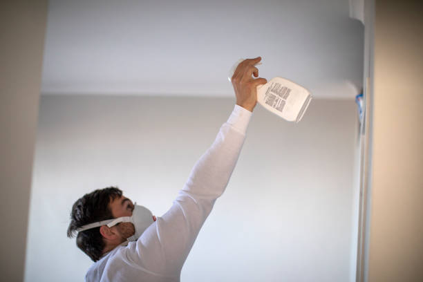 Best Affordable Mold Removal  in Newmanstown, PA