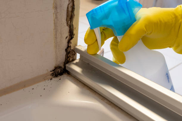 Best Mold Testing  in Newmanstown, PA