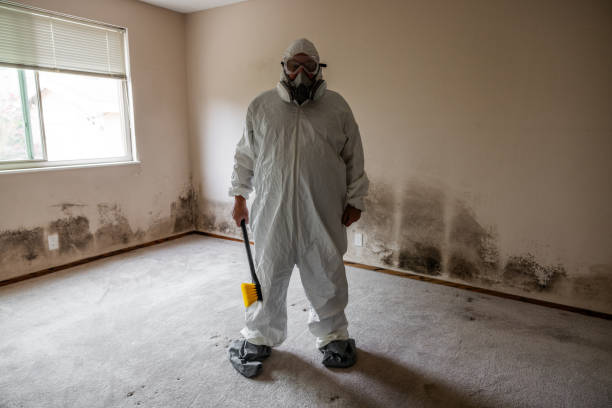 Best Mold Cleaning Services  in Newmanstown, PA